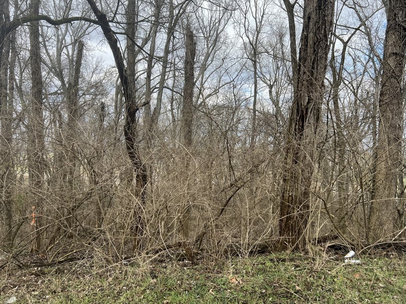 917 1st Ave, Mount Pleasant, TN 38474