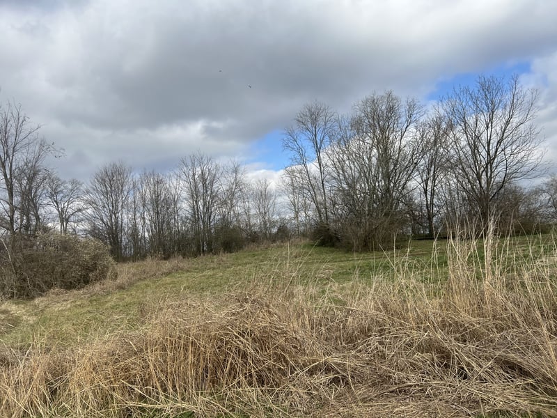 917 1st Ave, Mount Pleasant, TN 38474