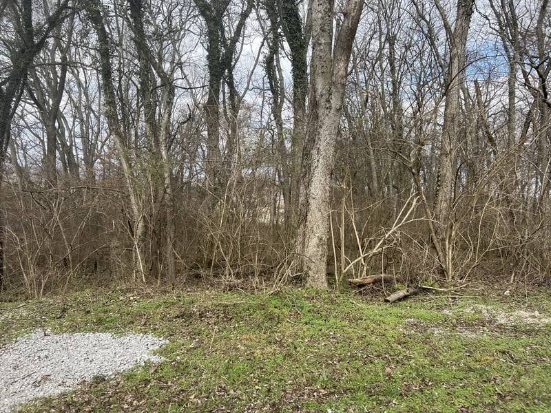 917 1st Ave, Mount Pleasant, TN 38474