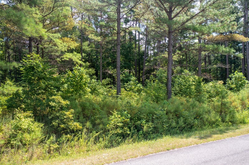 Bear Creek Rd S, Dickson, TN 37055