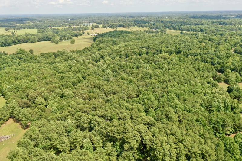 Bear Creek Rd S, Dickson, TN 37055