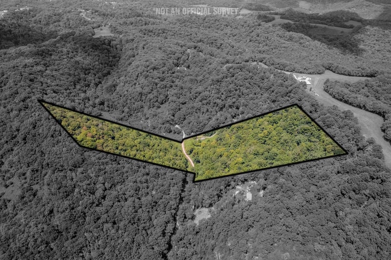 0 Watts Hollow Rd, Buffalo Valley, TN 38548