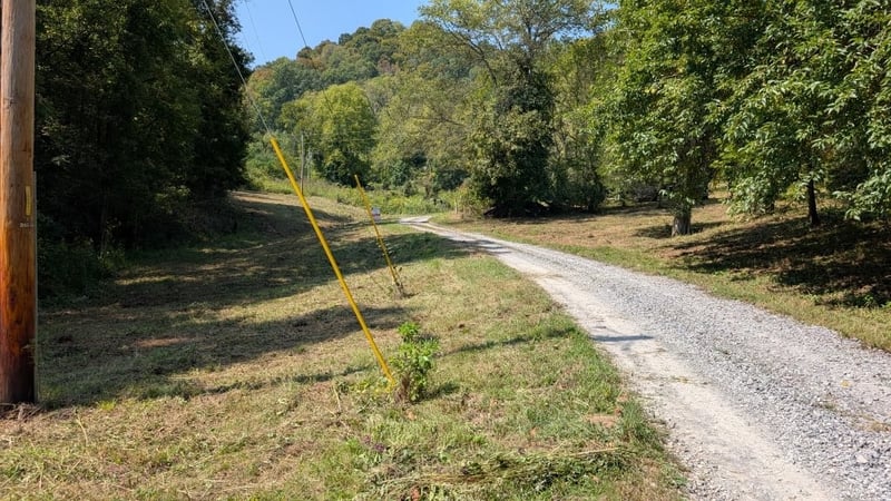 0 Watts Hollow Rd, Buffalo Valley, TN 38548