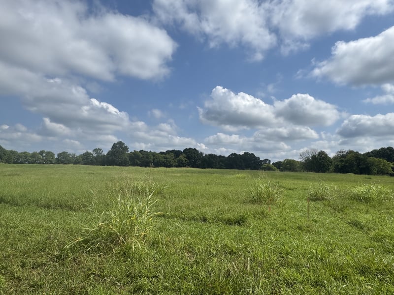 0 Patrick St, Lebanon, TN 37087