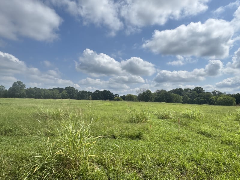 0 Patrick St, Lebanon, TN 37087