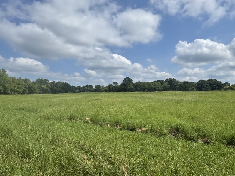 0 Patrick St, Lebanon, TN 37087