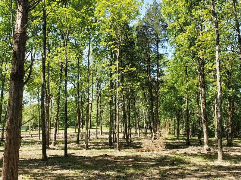 4821 Kedron Rd, Spring Hill, TN 37174