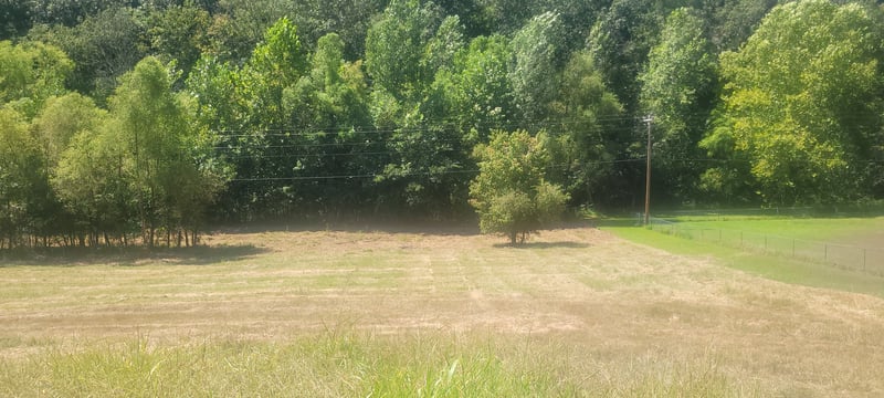 5641 New Highway 7, Santa Fe, TN 38482