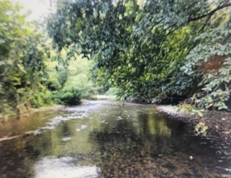 5641 New Highway 7, Santa Fe, TN 38482