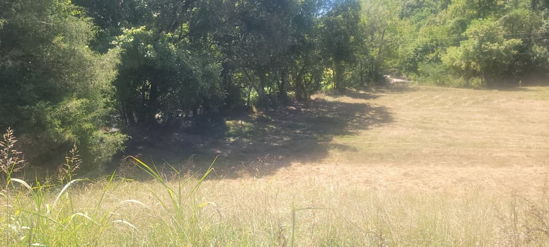 5641 New Highway 7, Santa Fe, TN 38482