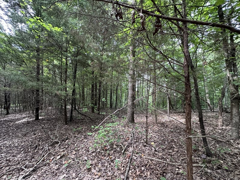 Kirby Hill Rd, Ashland City, TN 37015
