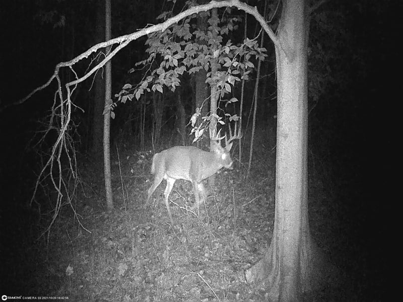 Kirby Hill Rd, Ashland City, TN 37015