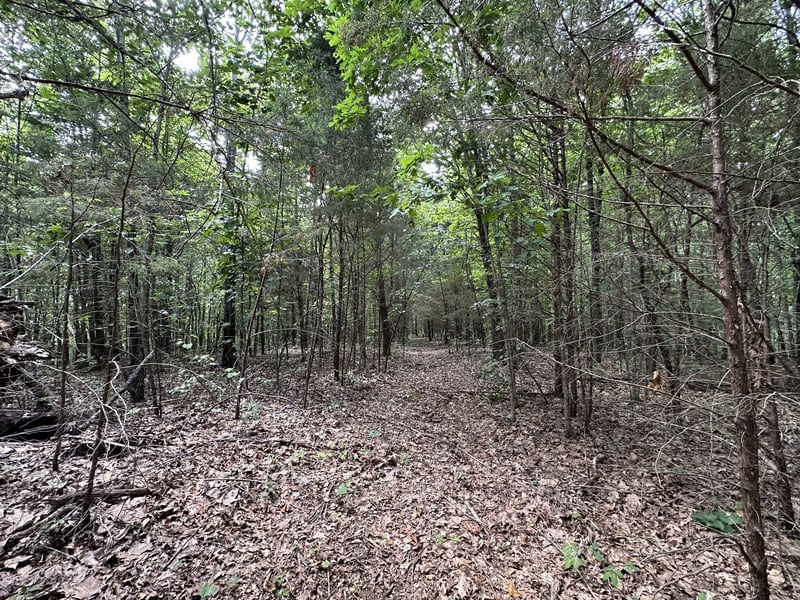 Kirby Hill Rd, Ashland City, TN 37015
