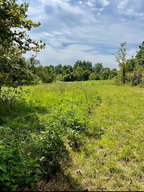 0 Batson Rd, Cumberland Furnace, TN 37051