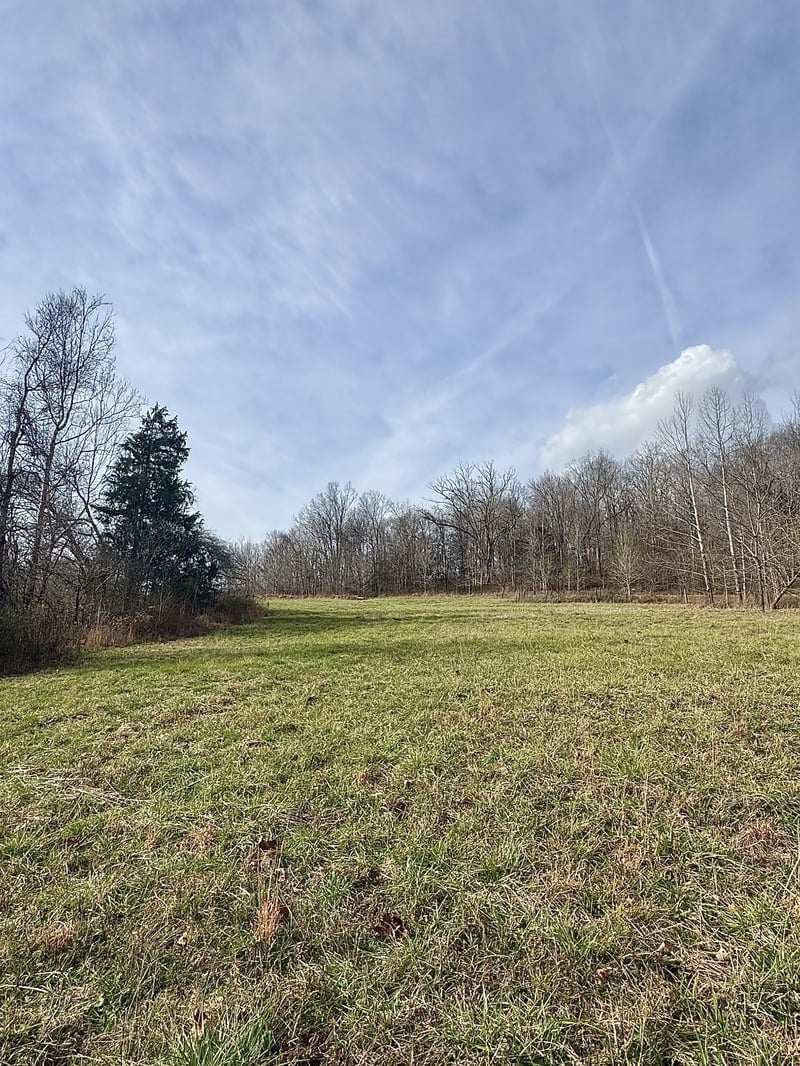 0 Batson Rd, Cumberland Furnace, TN 37051
