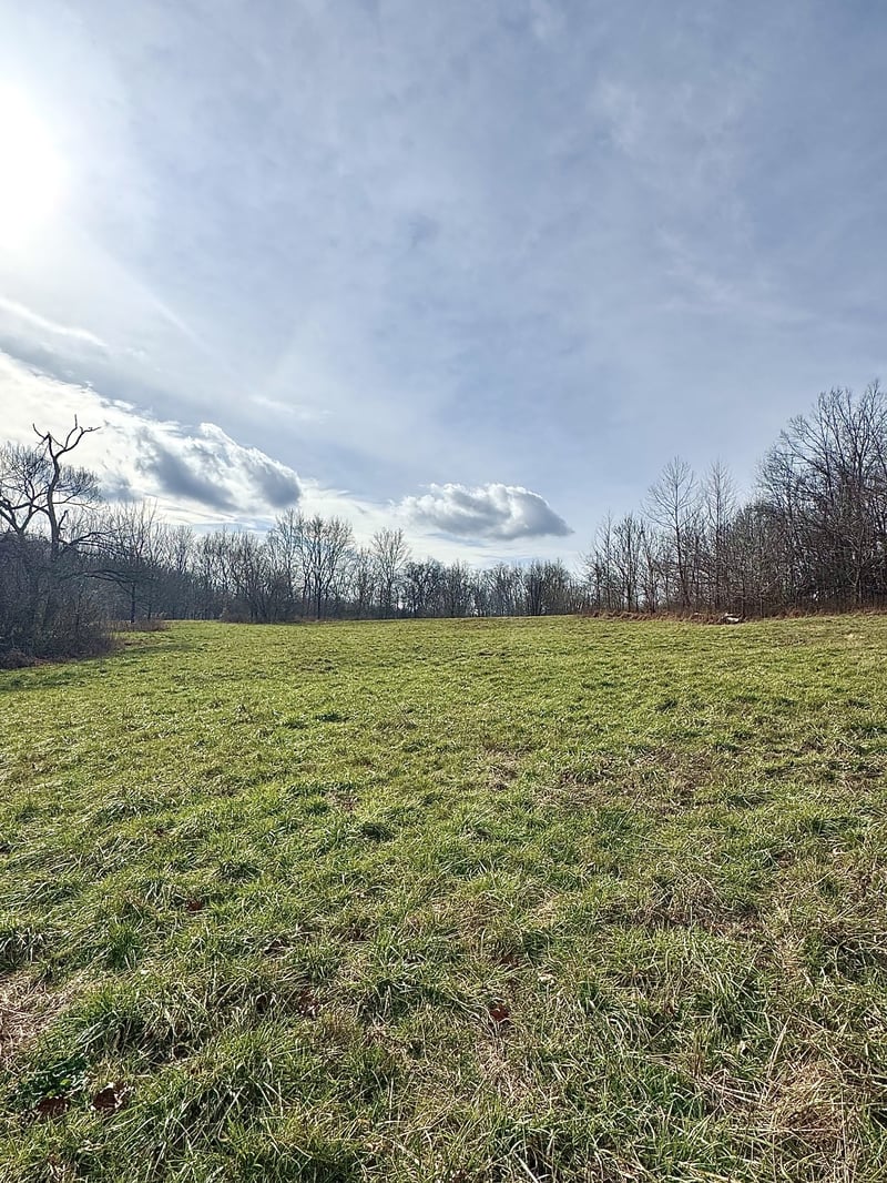 0 Batson Rd, Cumberland Furnace, TN 37051