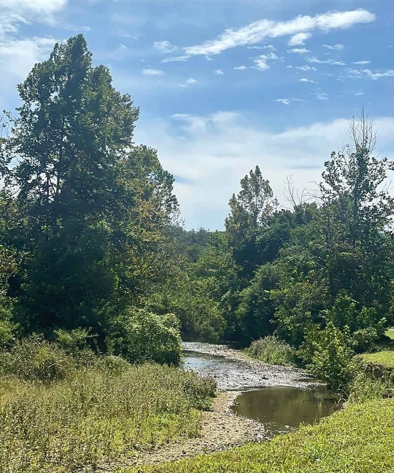 0 Batson Rd, Cumberland Furnace, TN 37051