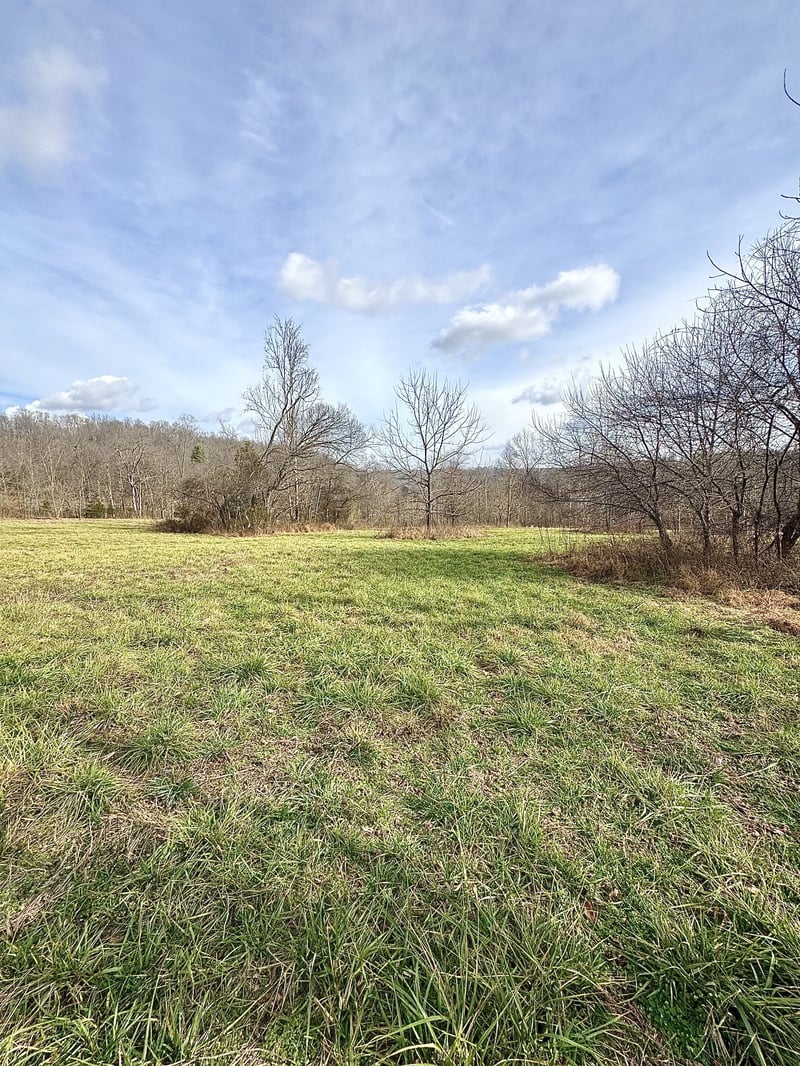 0 Batson Rd, Cumberland Furnace, TN 37051