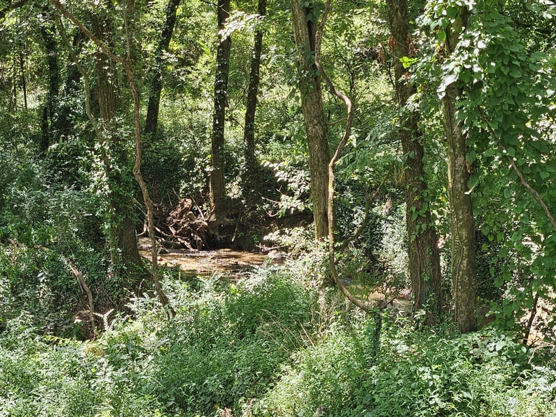 0 Sulpher Springs Rd, Murfreesboro, TN 37129