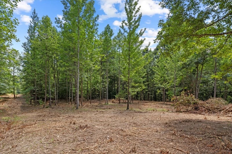 Upper Creek Rd, Vanleer, TN 37181