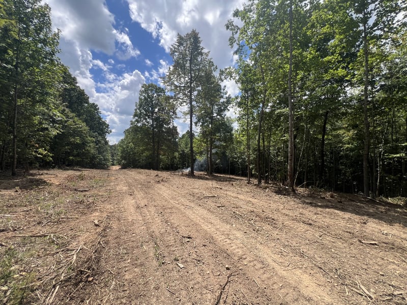 Upper Creek Rd, Vanleer, TN 37181