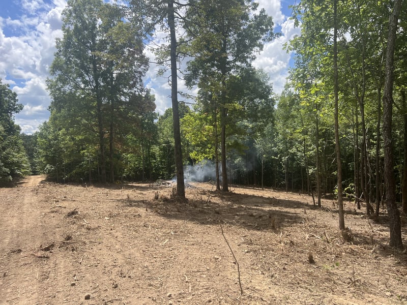 Upper Creek Rd, Vanleer, TN 37181