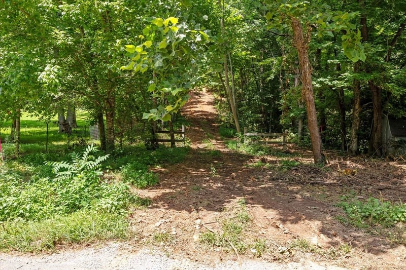 Upper Creek Rd, Vanleer, TN 37181