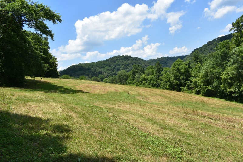 Nascar Ln Lot 2, Pleasant Shade, TN 37145