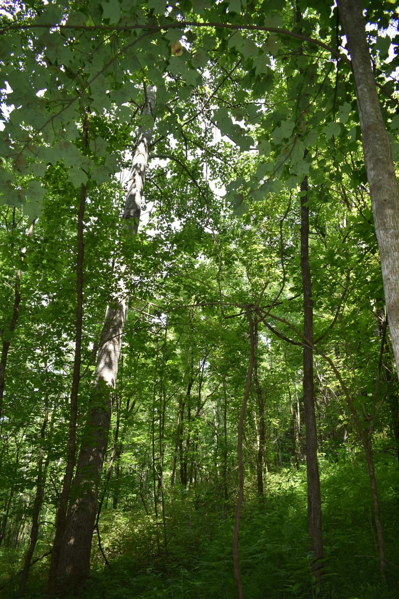 0 Nascar Ln, Pleasant Shade, TN 37145