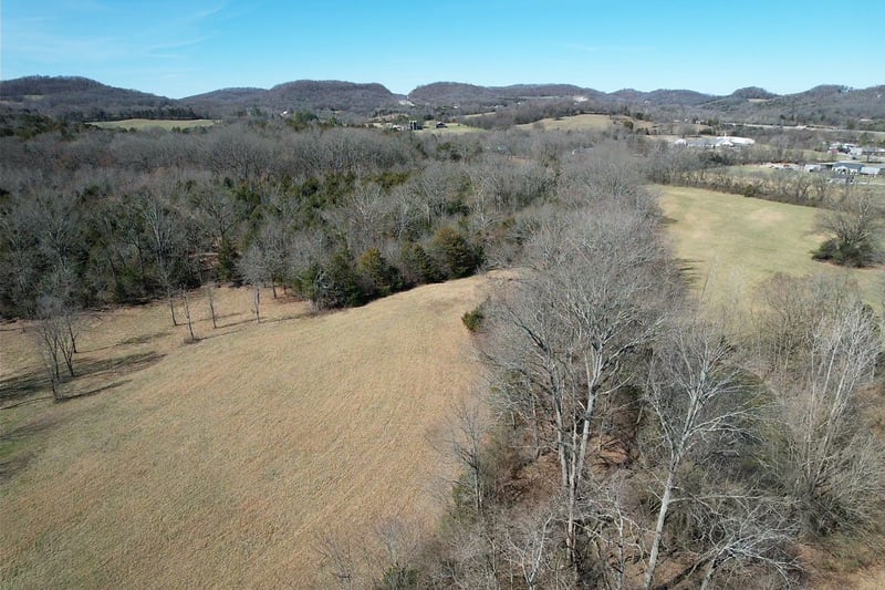 5 Cool Springs Rd, Thompsons Station, TN 37179