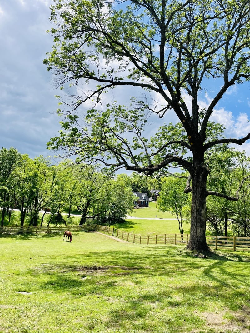 1019 Forestpointe , Hendersonville, TN 37075