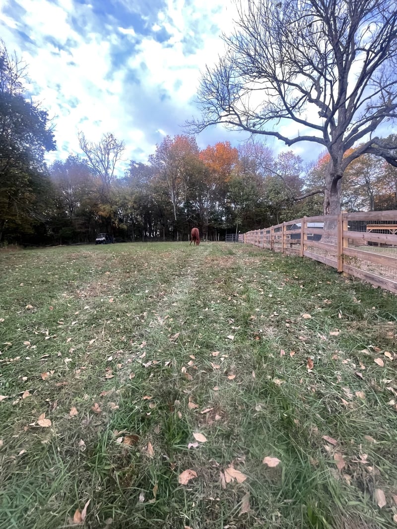 1019 Forestpointe , Hendersonville, TN 37075