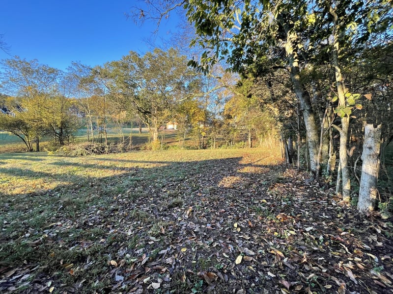 1019 Forestpointe , Hendersonville, TN 37075