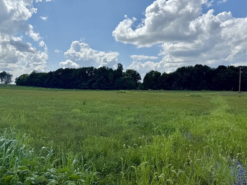 165 Perdue Cemetery Rd, Portland, TN 37148