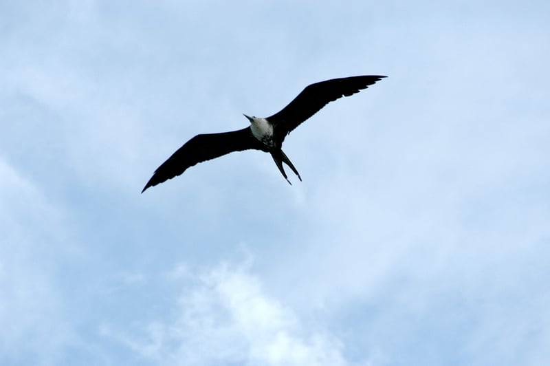 165 Perdue Cemetery Rd, Portland, TN 37148