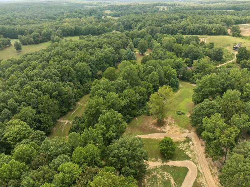 2 Dog Creek Rd, Primm Springs, TN 38476