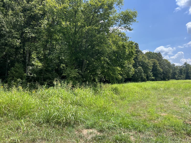 1 Sparkman Rd, Cumberland Furnace, TN 37051