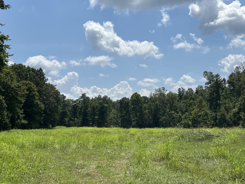 1 Sparkman Rd, Cumberland Furnace, TN 37051