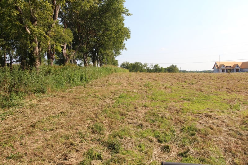 2716 Hartsville Pike, Castalian Springs, TN 37031