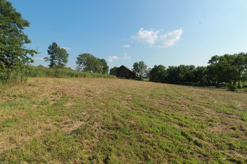 2716 Hartsville Pike, Castalian Springs, TN 37031