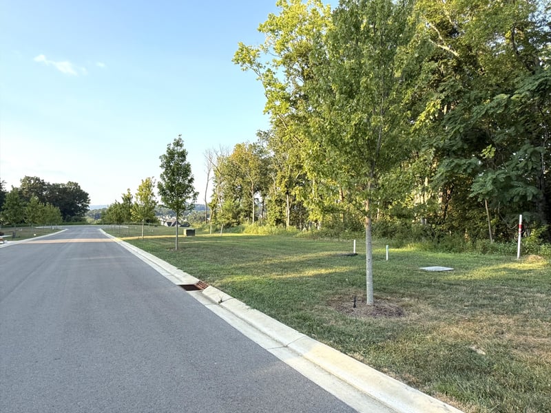 8514 Blanton Ct, College Grove, TN 37046