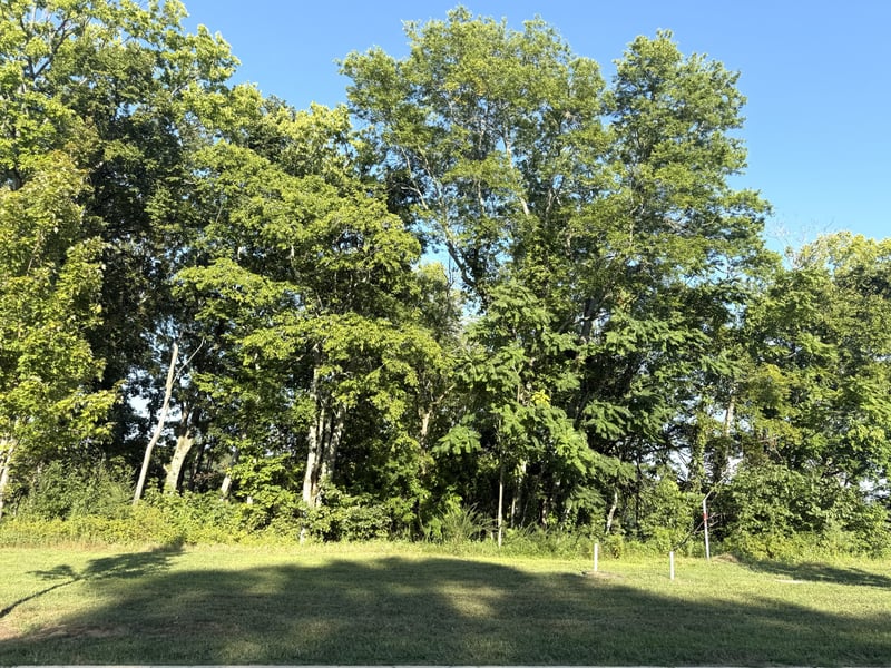 8514 Blanton Ct, College Grove, TN 37046