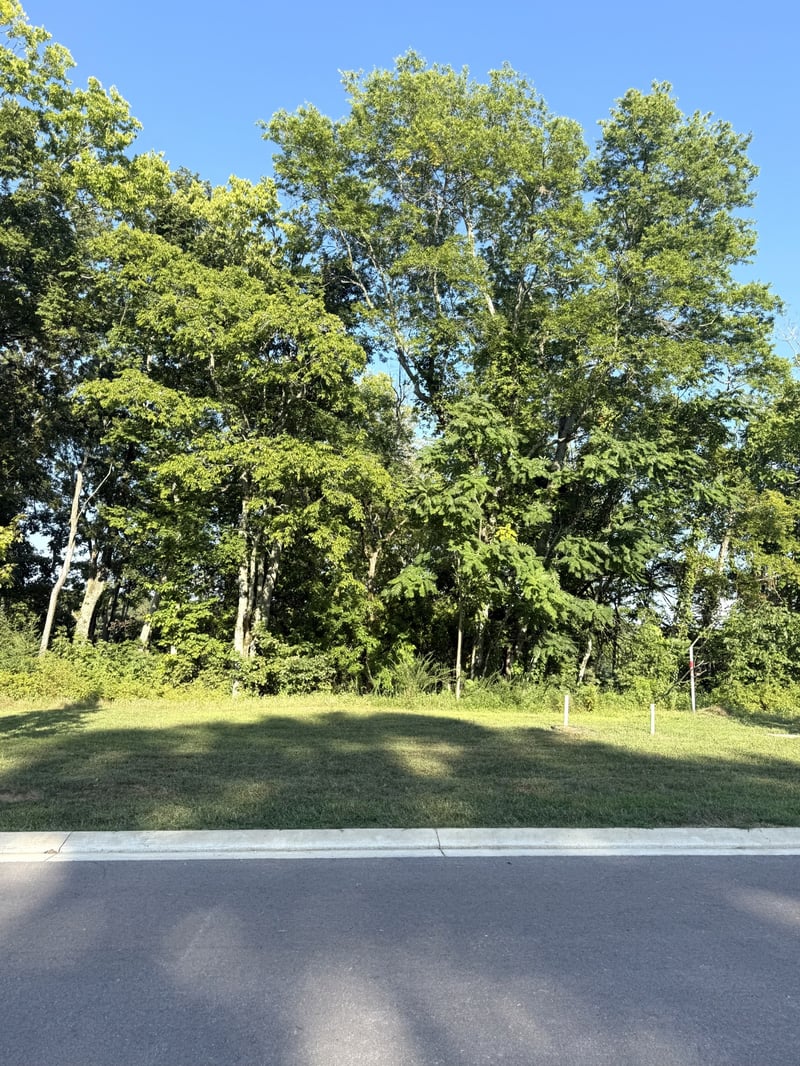 8514 Blanton Ct, College Grove, TN 37046