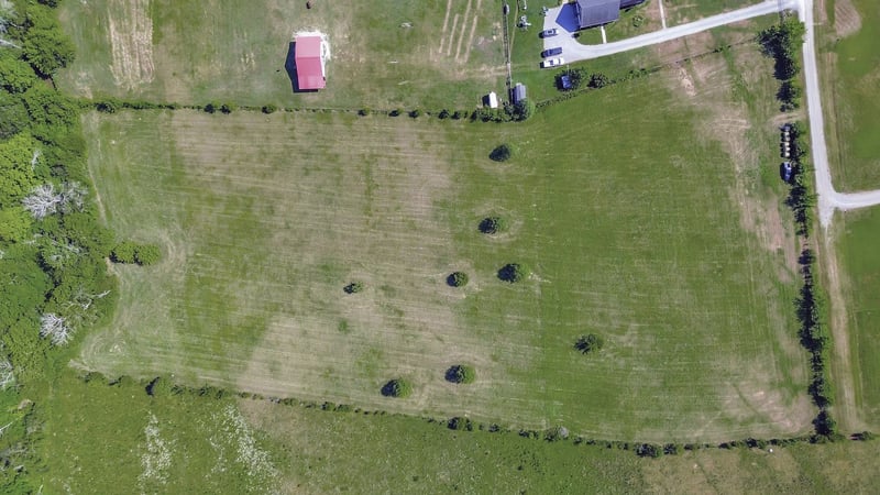 7108 Comstock Rd, Spring Hill, TN 37174