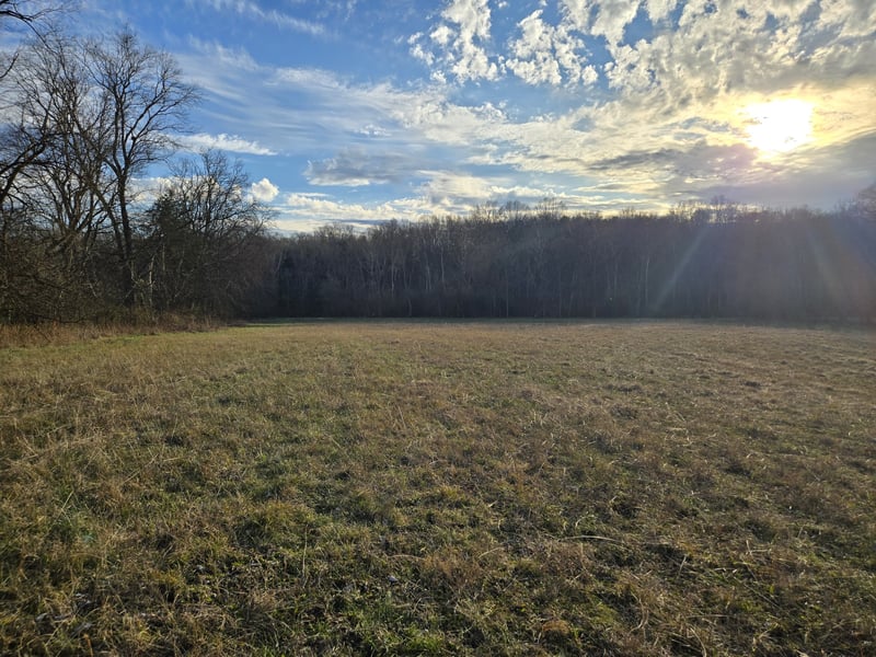 8 Deshea Creek Rd, Gallatin, TN 37066