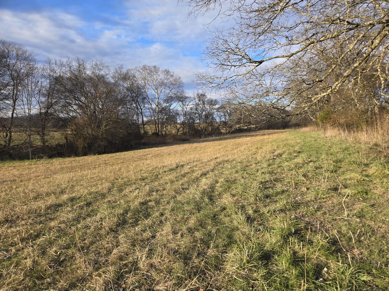 8 Deshea Creek Rd, Gallatin, TN 37066