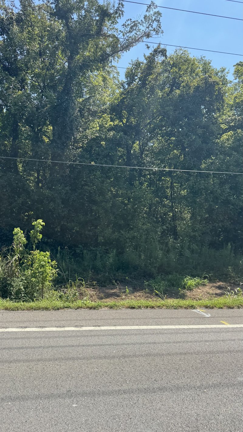 8322 Horton Hwy, College Grove, TN 37046