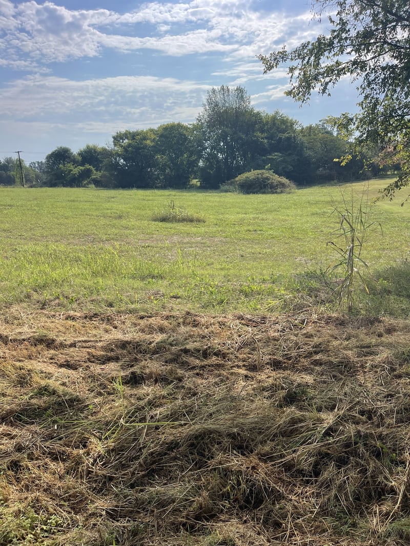 0 Williamsport Pike, Columbia, TN 38401