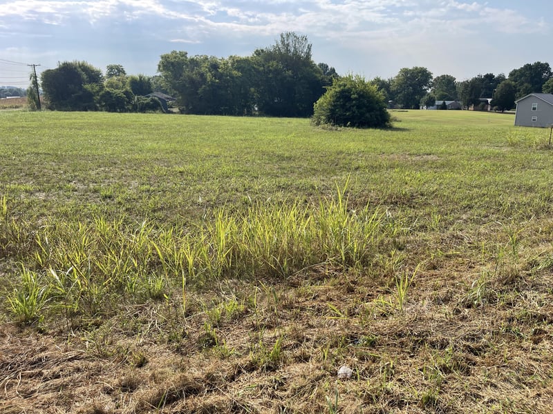 0 Williamsport Pike, Columbia, TN 38401