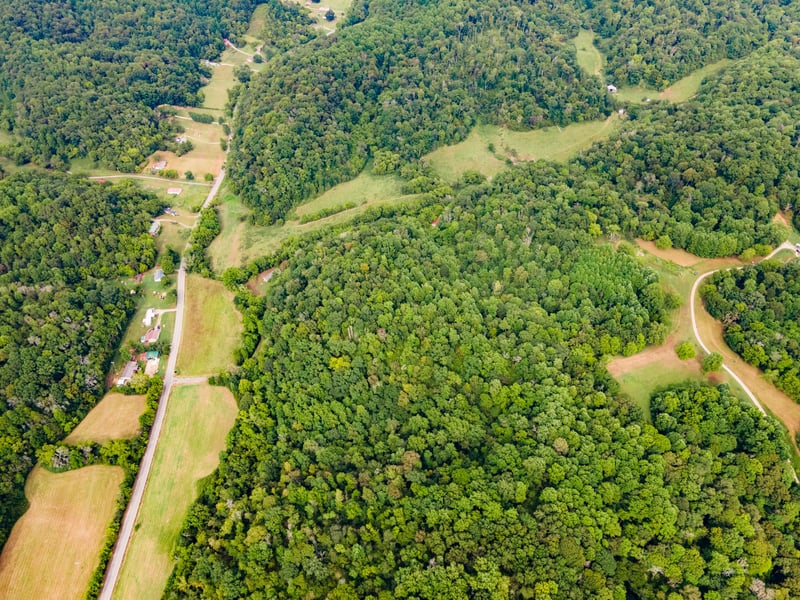 3045 Robert Skelley Rd, Columbia, TN 38401